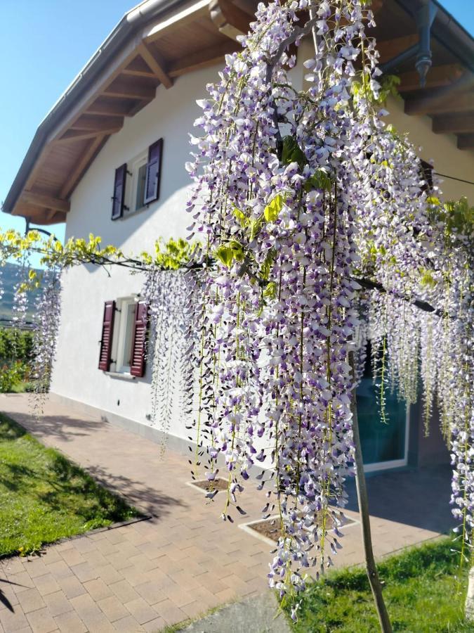 Agritur Lavanda Nave San Rocco المظهر الخارجي الصورة