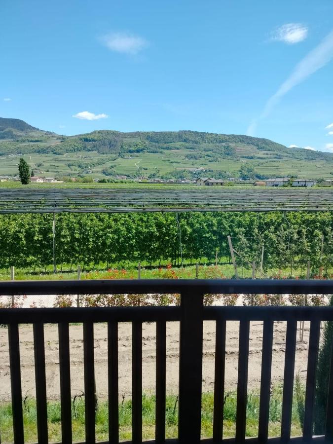 Agritur Lavanda Nave San Rocco المظهر الخارجي الصورة
